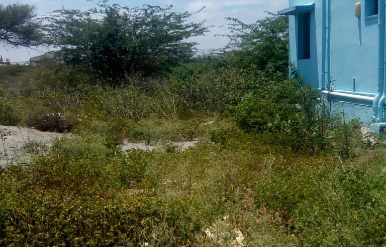 Land For Sale in Pappampatti, Coimbatore