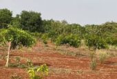 Agricultural Land For Sale in Manneguda, Hyderabad