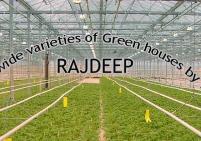 Rajdeep-Agri-Products-Pvt.-Ltd
