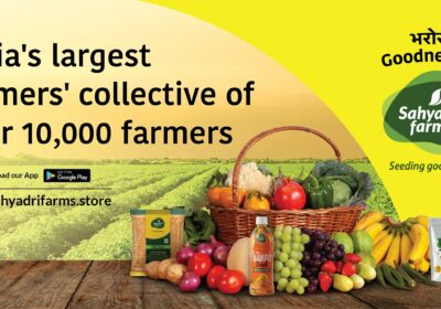 India’s Largest Farmers Collective of Over 10,000 Farmers | Sahyadri Farms