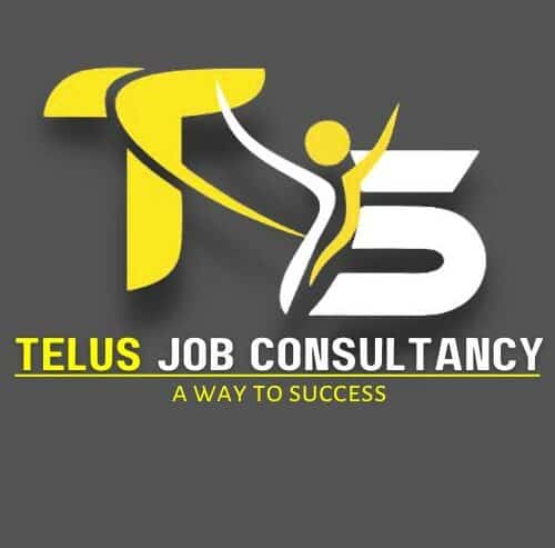 Best Job Placement Services in Hoshiarpur, Punjab | Telus Job Consultancy
