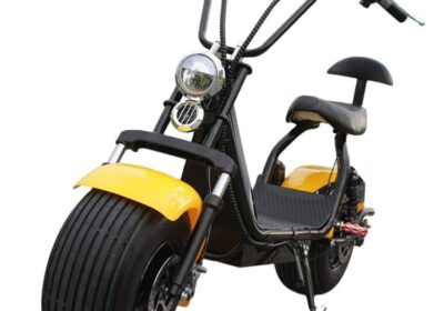 Citycoco Fat Tyre Electric Scooter and Motorcycle Chopper For Sale in Indonesia