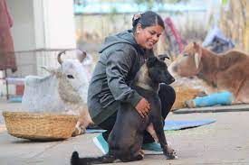 Animal Rescue and Welfare Center in Jalandhar | Jeev Welfare Trust -  ADPOSTMAN