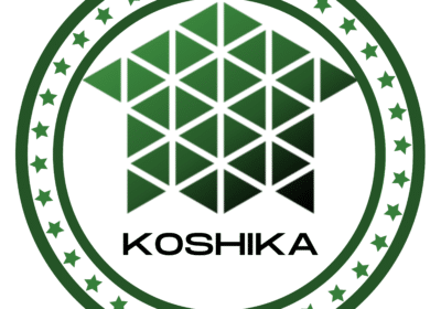 Online US Company Formation and Registration Services in India | Koshika