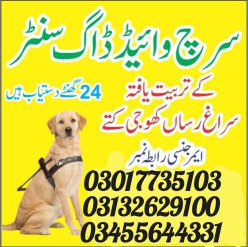 Find Khoji Dogs in Pakistan | Army Dog Center