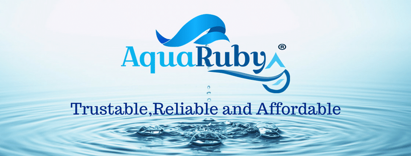Buy Best Quality, Safe and Affordable RO in India | AquaRuby