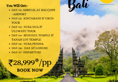 Get Budget-Friendly Bali Tour Packages From India | Trip69