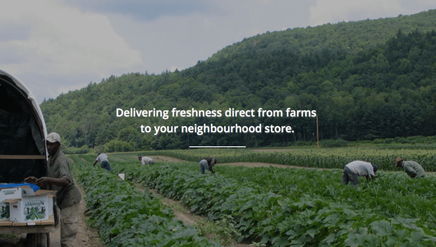 Delivering Best Quality Agri-Produce From Farms to Store | Crofarm  