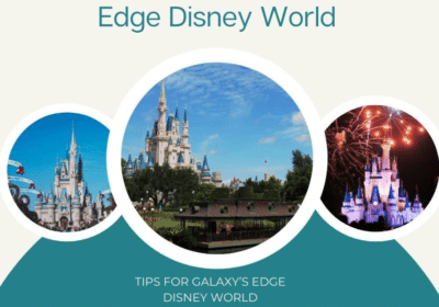 Best Backpack For Visit Disney World | My Disney Days