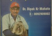 Best Veterinary Clinics in Jamshedpur | PET CLINIC – DR DIPAK KUMAR MAHATO