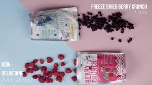 Buy Best Farm Fresh Antioxidant Packed Berries | Farm2Fam