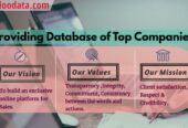 Best Online Platform For Providing Database of Top Companies in India | Fundoodata.com
