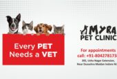Top Pet Clinic in Indore, MP | Myra Pet Clinic & Surgery Centre