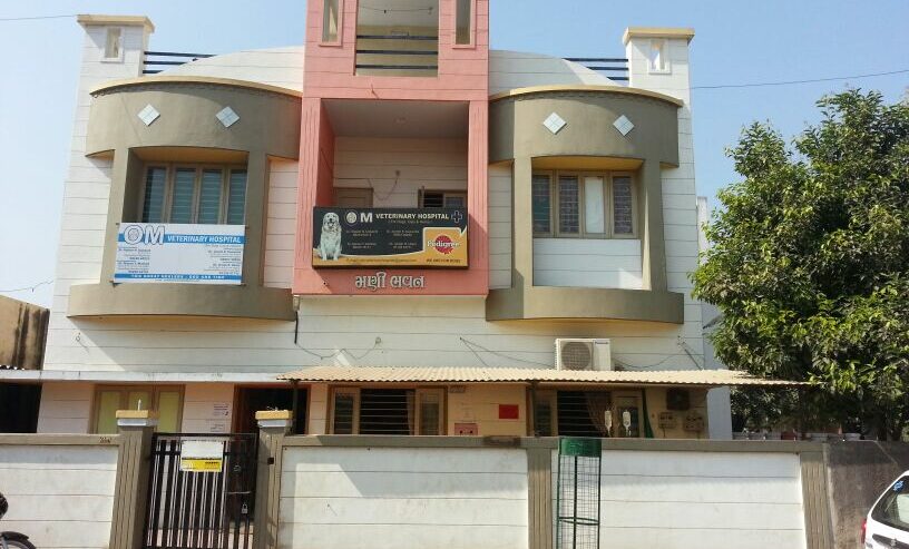Best Veterinary Hospital in Rajkot | Om Veterinary Hospital