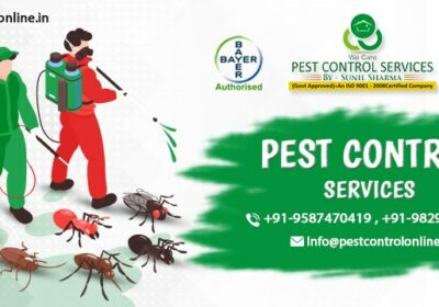 Best Pest Control Company in Jaipur, RJ | Pest Control Services