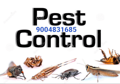 Best Pest Control Services in Mumbai | RVS Pest Control