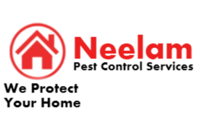 Best Pest Control Service in Dehradun | Neelam Pest Control Services
