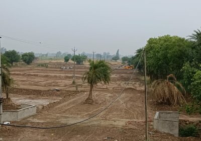 Residential Plots For Sale Near Chandigarh | Countryside Greens