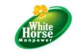 Best Placement and Talent Exploration Firm in Bangalore | White Horse Manpower