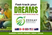 Top Immigration Consulting Agency in Tamil Nadu | Zeekay Consultants