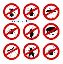 Best Pest Control Services in Mumbai | RVS Pest Control