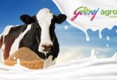 Top Cattle Feed Producers Private Industry in India | Godrej Agrovet
