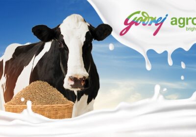 Top Cattle Feed Producers Private Industry in India | Godrej Agrovet