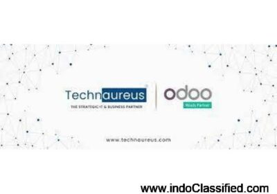 Best ODOO Implementation Partner | Technaureus