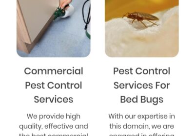 Best Pest Control Services in Bowenpally, Hyderabad | Insight Pest Control