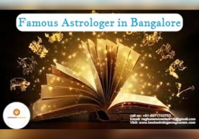 Famous Astrologer in Bangalore | Raghuram