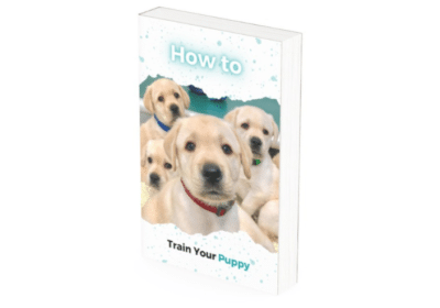 Buy Best Book To Train Your Puppy at Home | How To Train Your Puppy
