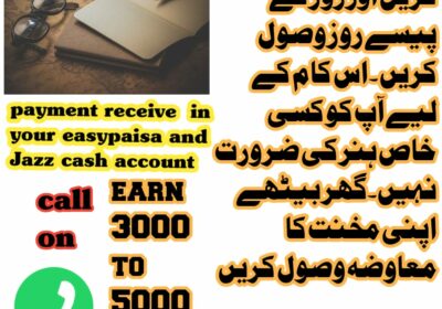 Work 2 Hours Daily and Online Earning at Home
