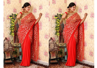 Buy Best Karwa Chauth Dresses in Delhi | Rajkumari.co