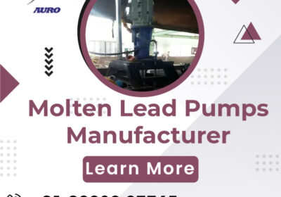 Molten Lead Pumps Manufacturer in India | Auro Pumps