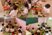 Best Play School in Chandigarh and Mohali | Sunshine Meadows