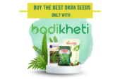 Buy Seeds, Fertilizers, Pesticides and Agriculture Equipment Online | BadiKheti.com