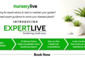 Buy Widest Variety and Best Quality Plants Online | NurseryLive.com