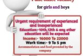 Office Staff Vacancy For Girls & Boys in Shirur