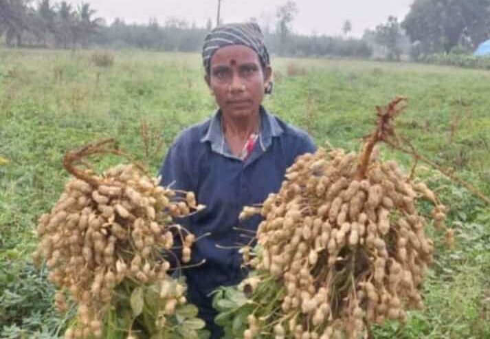 Buy Best Natural Agri Product in Tamil Nadu | Vestige