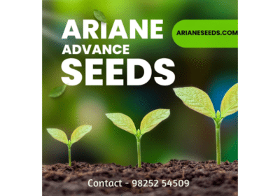 Ariane-Advance-Seeds