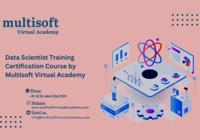 Best-Data-Scientist-Training-Certification-Course-Online