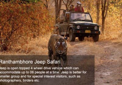 Get Ranthambore National Park Safari Booking Online | RanthambhoreNationalPark.in