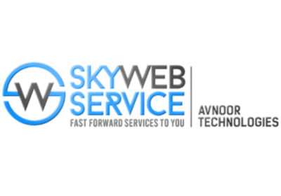 Best Data Scraping Services in Delhi, India | SkywebService.com