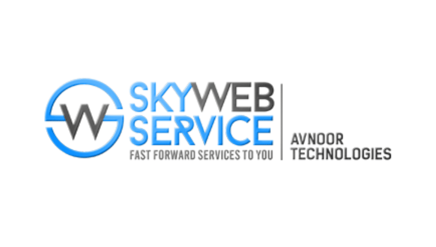 Best Data Scraping Services in Delhi, India | SkywebService.com