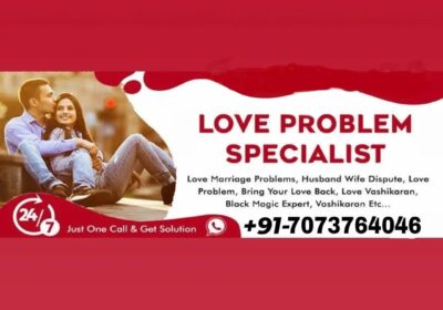 Best Husband-Wife Problem Solution Astrologer in Adarsh Nagar, Delhi