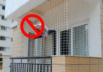 Buy Best Quality Pigeon Safety Net in Bengaluru | Madhuri Safety Net