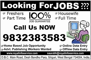 Earn Extra Money From Home – Work Online Job Project – Royal Info Service