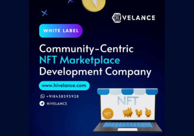 whitelabel-community-centric-nft-marketplace-development-2