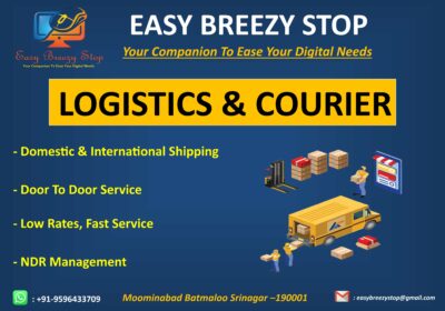 Logistics & Courier Services in Srinagar | Easy Breezy Stop