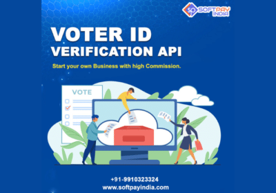 Best-Voter-ID-Verification-API-Provider-Company-in-India